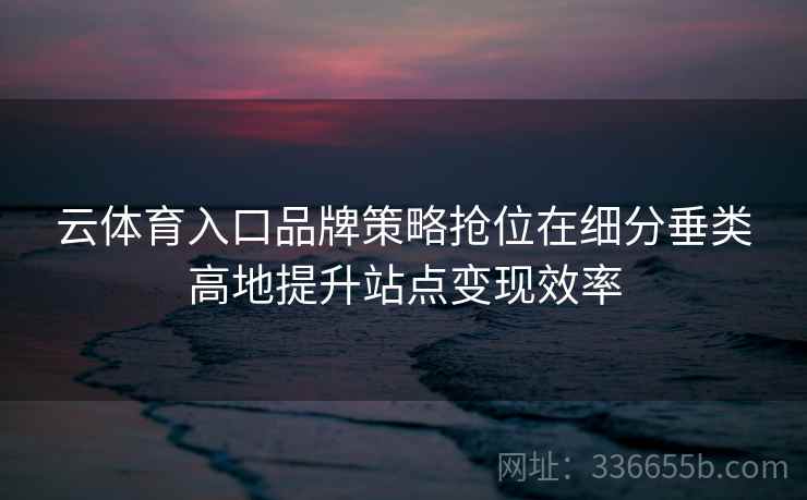 云体育入口品牌策略抢位在细分垂类高地提升站点变现效率