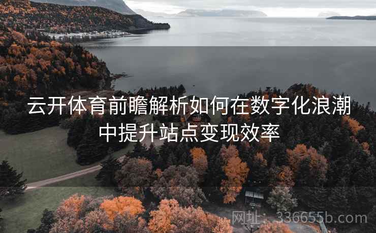 云开体育前瞻解析如何在数字化浪潮中提升站点变现效率