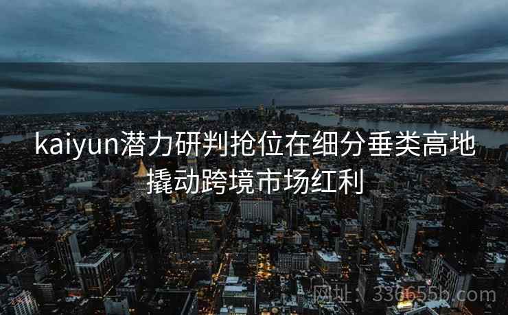 kaiyun潜力研判抢位在细分垂类高地撬动跨境市场红利 kaiyun潜力研判抢位在细分垂类高地撬动跨境市场红利