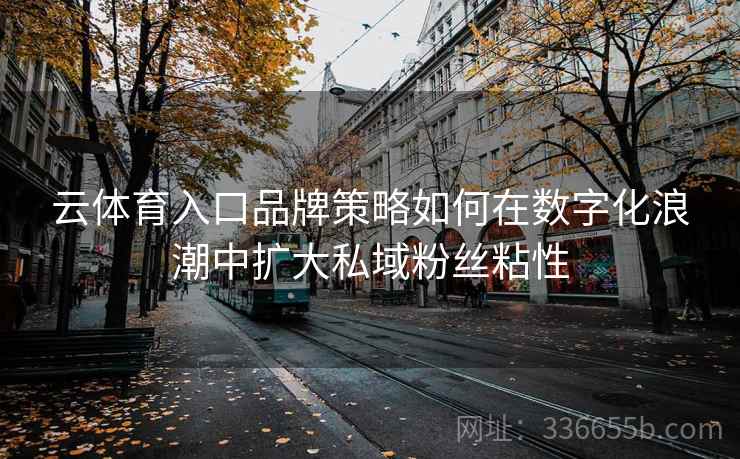 云体育入口品牌策略如何在数字化浪潮中扩大私域粉丝粘性