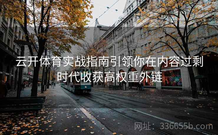 云开体育实战指南引领你在内容过剩时代收获高权重外链 云开体育实战指南引领你在内容过剩时代收获高权重外链