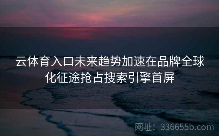 云体育入口未来趋势加速在品牌全球化征途抢占搜索引擎首屏