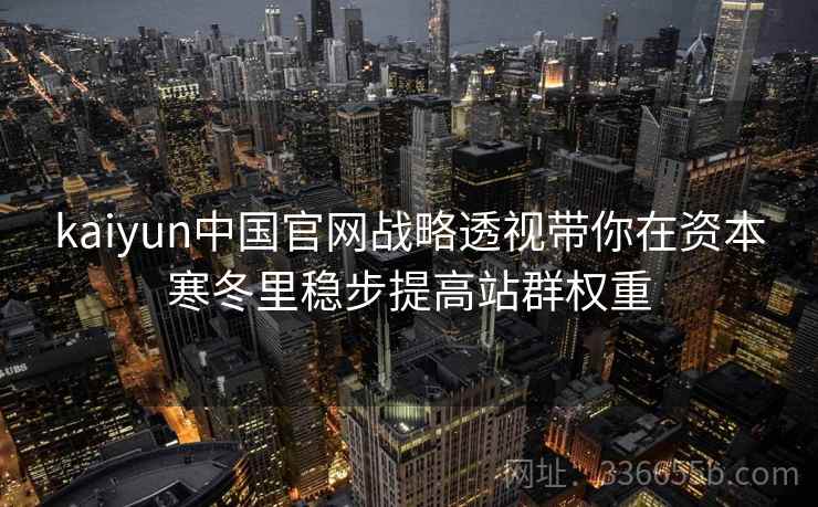 kaiyun中国官网战略透视带你在资本寒冬里稳步提高站群权重