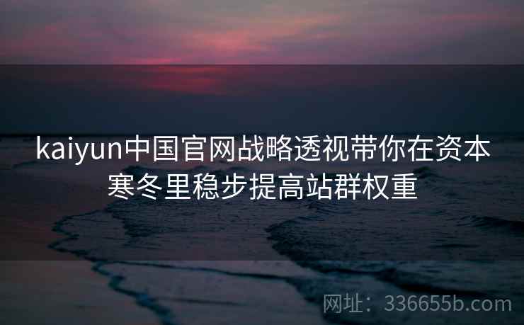 kaiyun中国官网战略透视带你在资本寒冬里稳步提高站群权重 kaiyun中国官网战略透视带你在资本寒冬里稳步提高站群权重